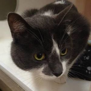 Meet your Posher, Loulou